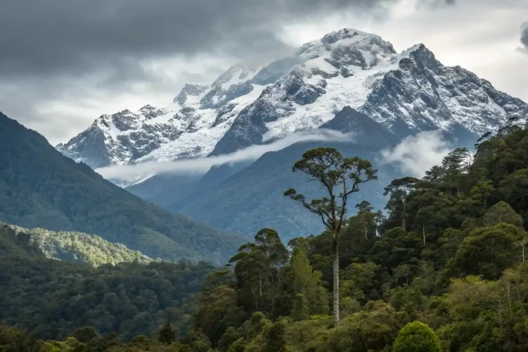 Cartensz Papua Trek | Luxury Tours Papua Indonesia